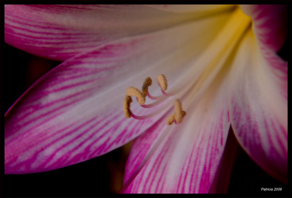 Image Hosted by ImageShack.us